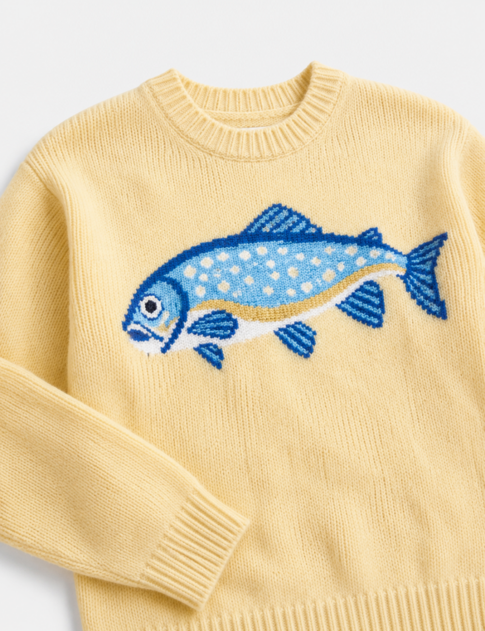 Fish Knit Sweater🐟